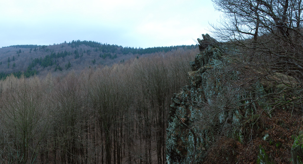 3-pan-weilsberg%20zacken-2