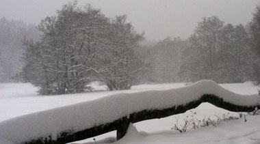 Winter 2010 2011